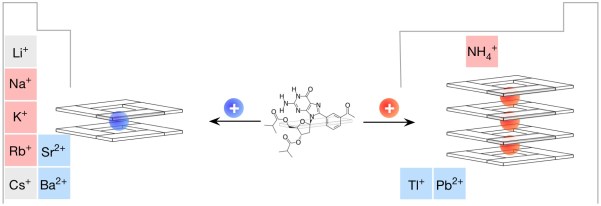20130815_mAGi-C+_TOC