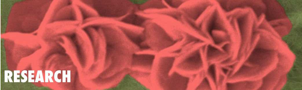 RESEARCH-banner