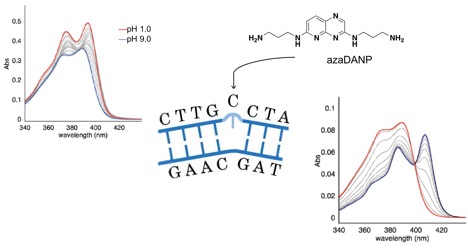 KNV blog image 18-05