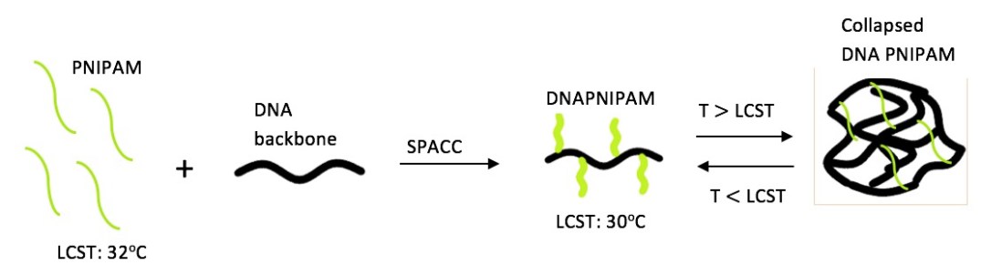 MER blog image 18-05