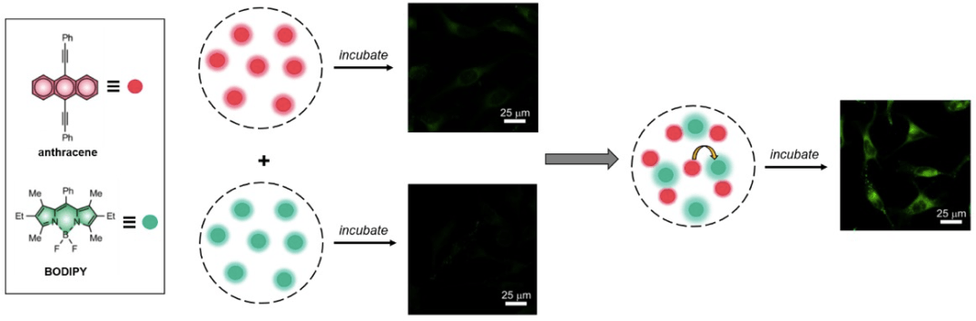 YRV blog image 18-05