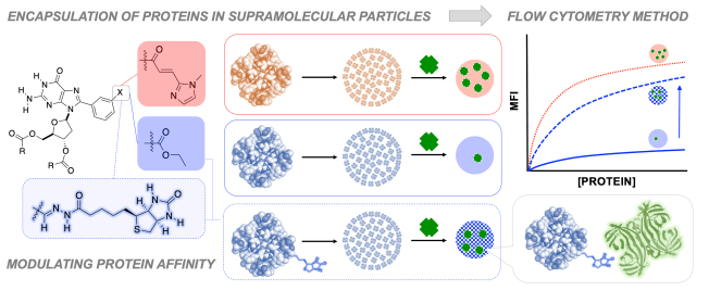 F00_TOC_SHS-PROTEINS